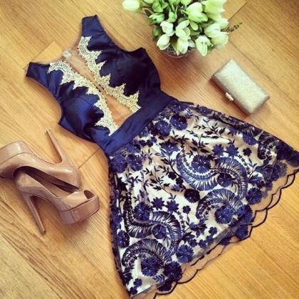 Transparent Lace Scoop Sleeveless S..