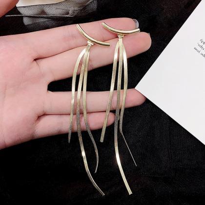 Snake Bone Tassel Metal Simple Long Earrings