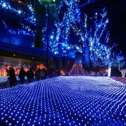 Blue 100 Led Net Mesh Decorative Fairy Lights..