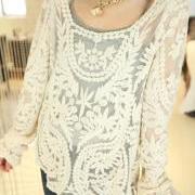 Free Shipping Relaxed Embroidered Perspective Lace Blouse