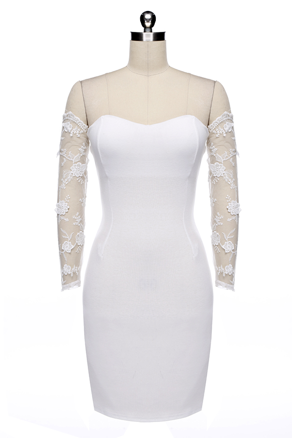 Strapless Lace Bodycon Stretch Dress on Luulla