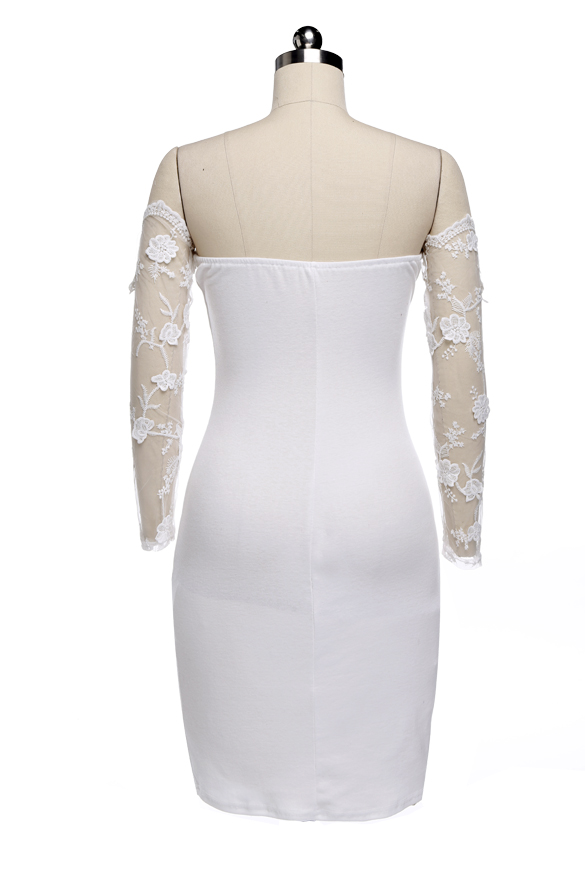 Strapless Lace Bodycon Stretch Dress on Luulla